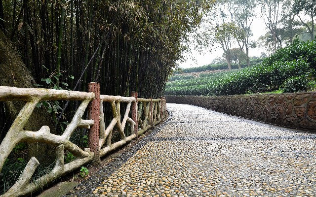 拼多多补单软件