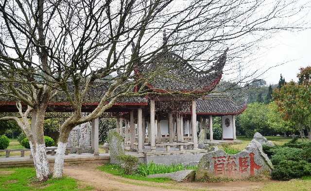 拼多多补单软件