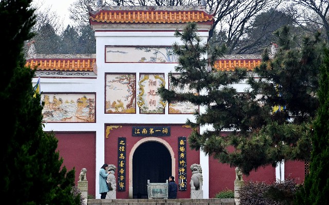 拼多多补单软件