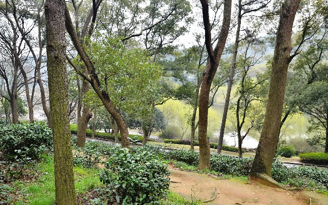 拼多多补单软件