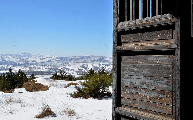 拼多多补单软件