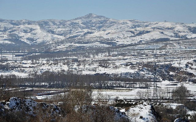拼多多补单软件