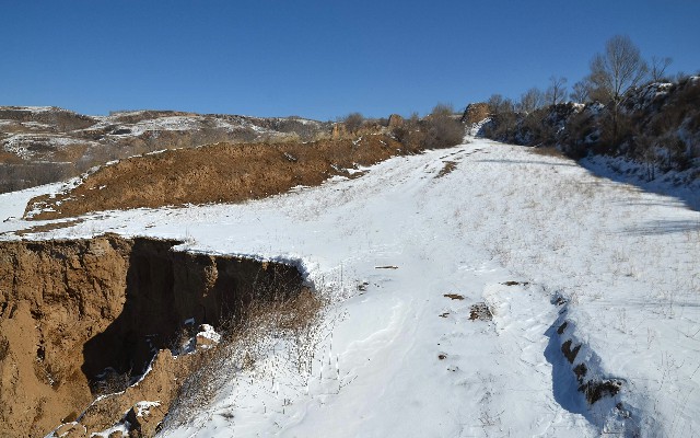 拼多多补单软件