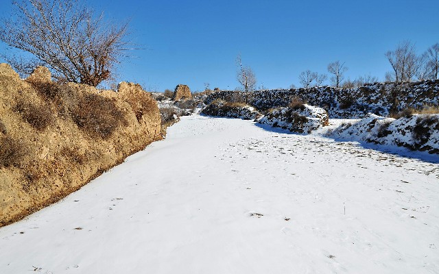 拼多多补单软件