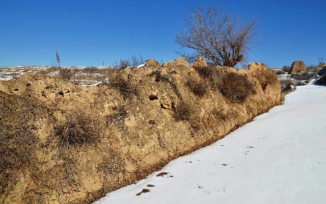 拼多多补单软件