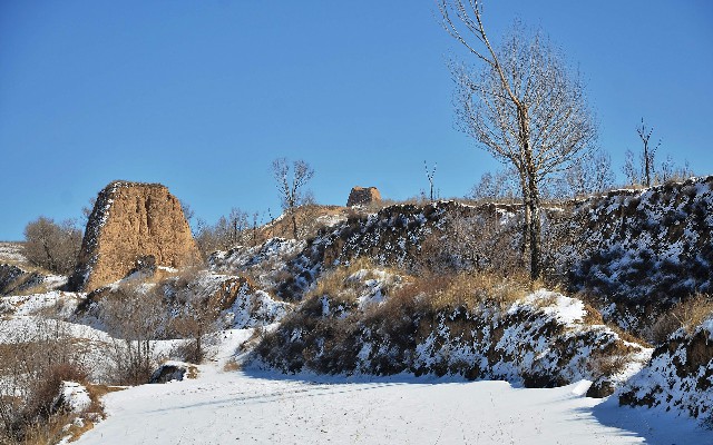 拼多多补单软件