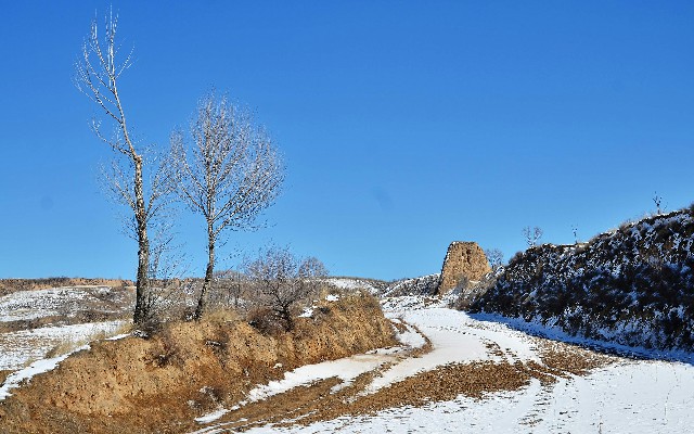 拼多多补单软件