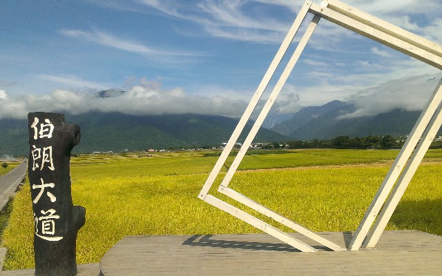 拼多多补单软件