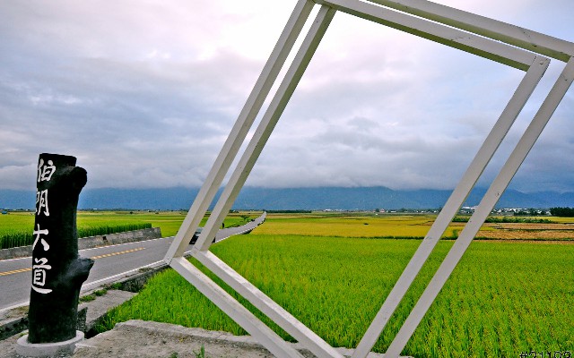 拼多多补单软件