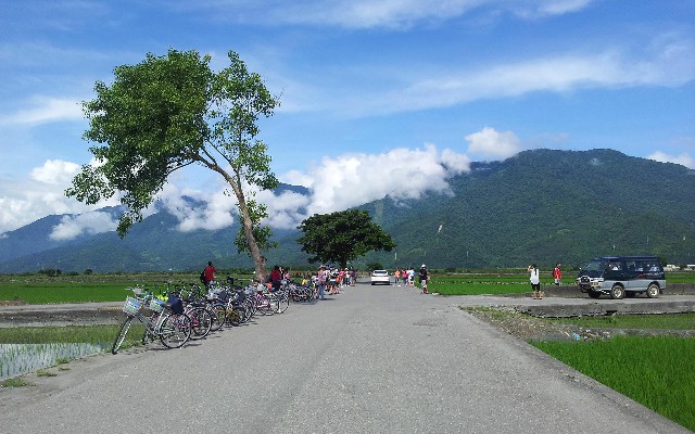 拼多多补单软件