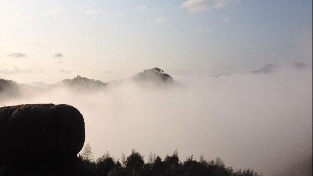 拼多多补单软件