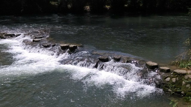 拼多多补单软件