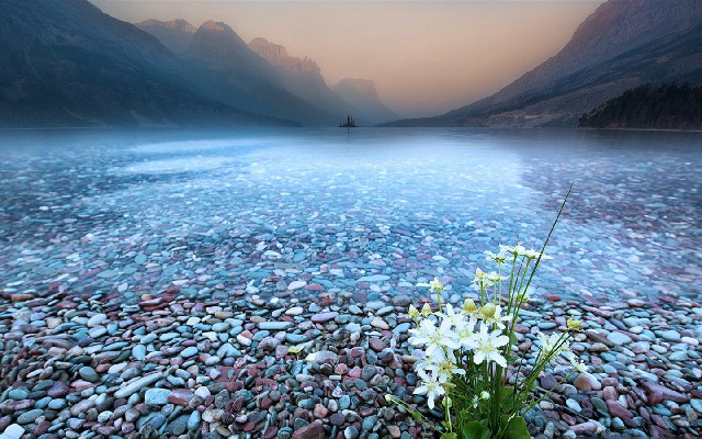 拼多多补单软件