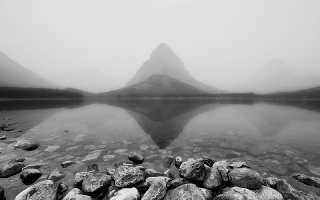 拼多多补单软件