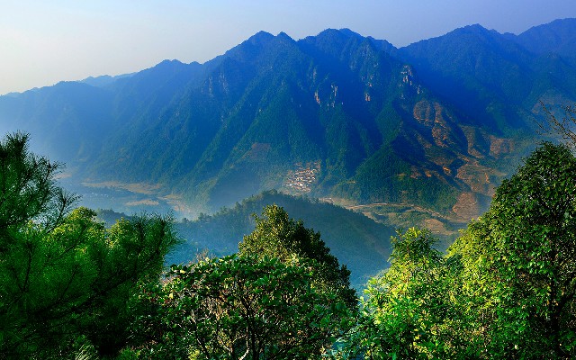 拼多多补单软件