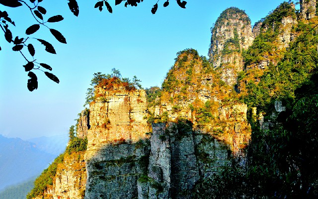 拼多多补单软件