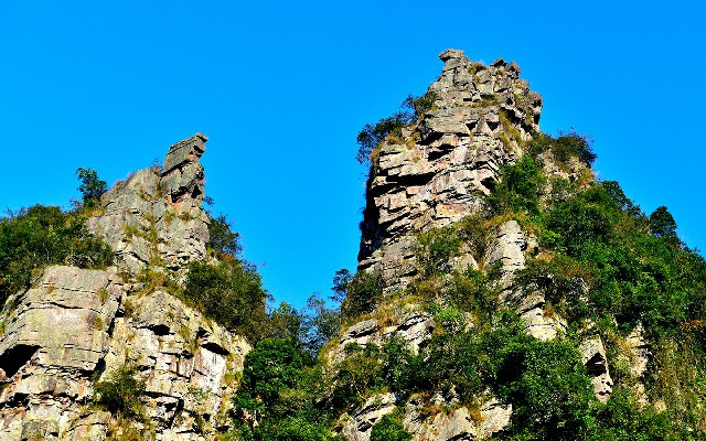 拼多多补单软件