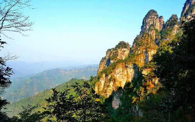 拼多多补单软件