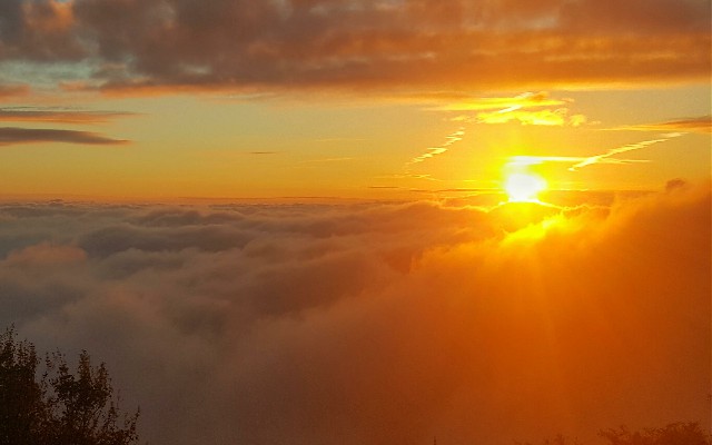 拼多多补单软件