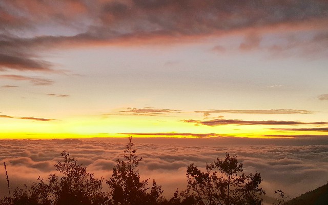 拼多多补单软件