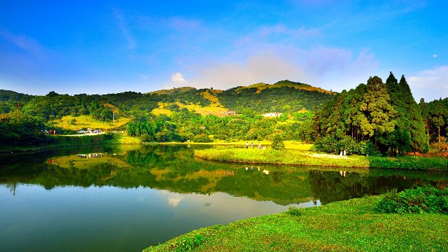 拼多多补单软件