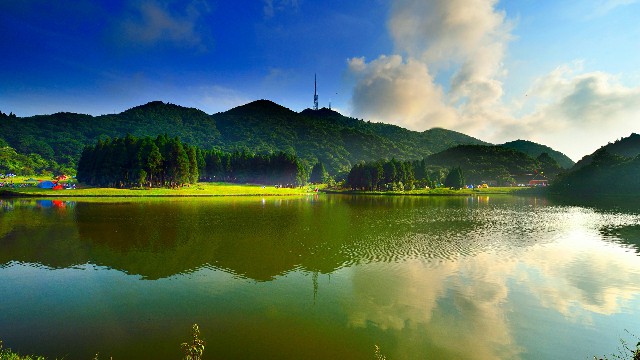 拼多多补单软件