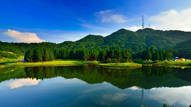 拼多多补单软件