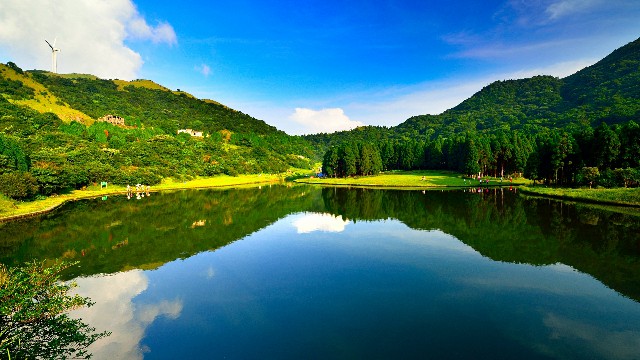 拼多多补单软件