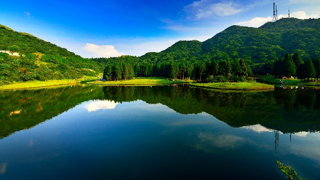 拼多多补单软件