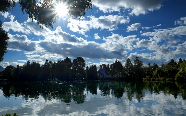 拼多多补单软件