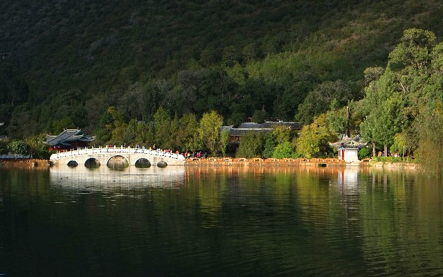 拼多多补单软件