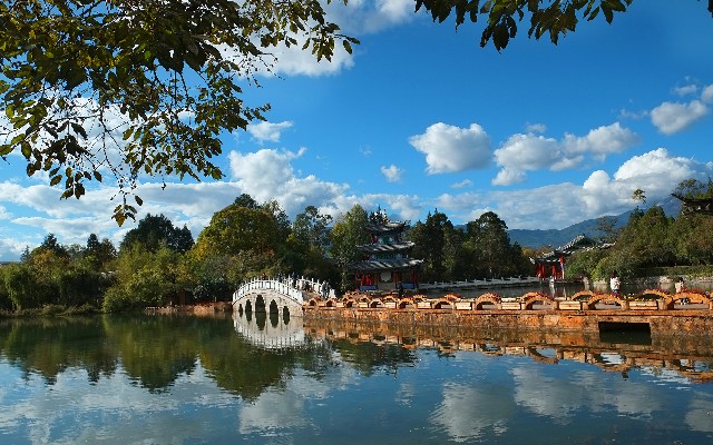 拼多多补单软件