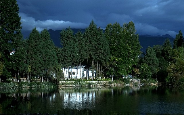 拼多多补单软件