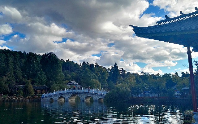 拼多多补单软件