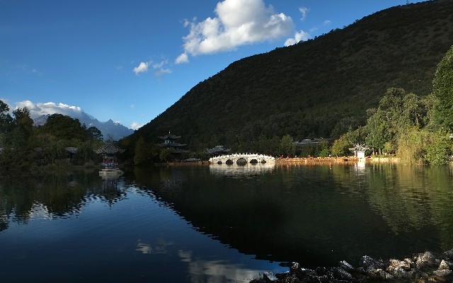 拼多多补单软件