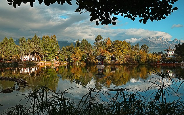 拼多多补单软件