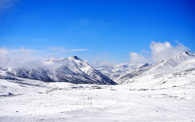 拼多多补单软件