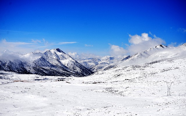 拼多多补单软件