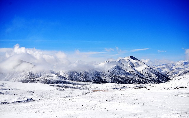 拼多多补单软件