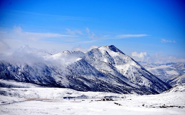 拼多多补单软件