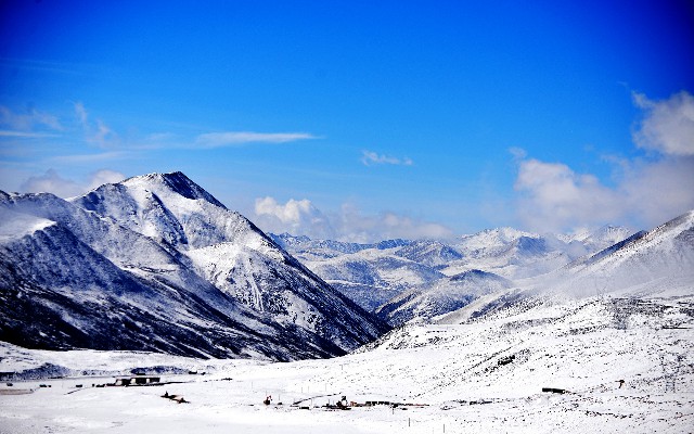 拼多多补单软件