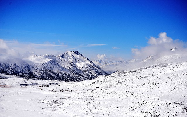 拼多多补单软件