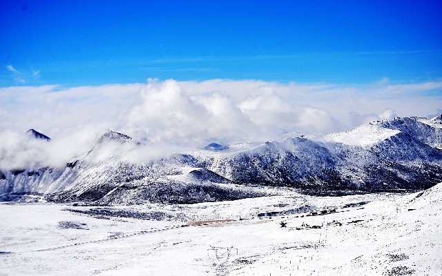 拼多多补单软件