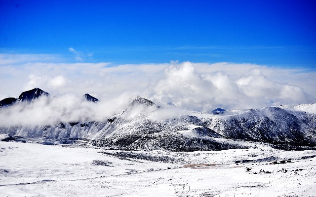 拼多多补单软件