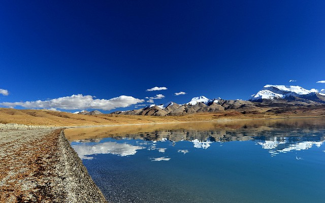 拼多多补单软件