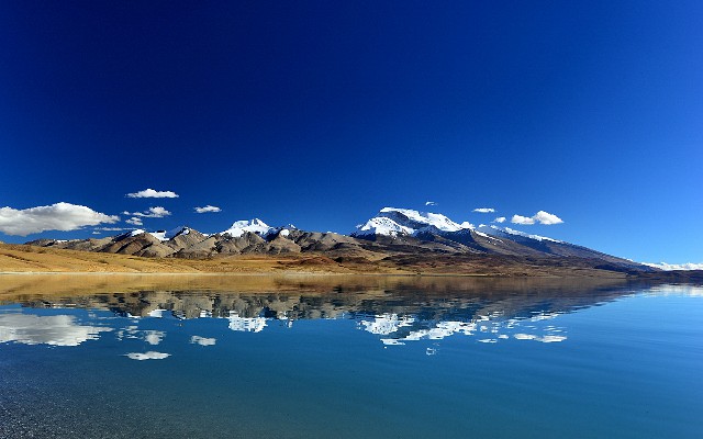 拼多多补单软件