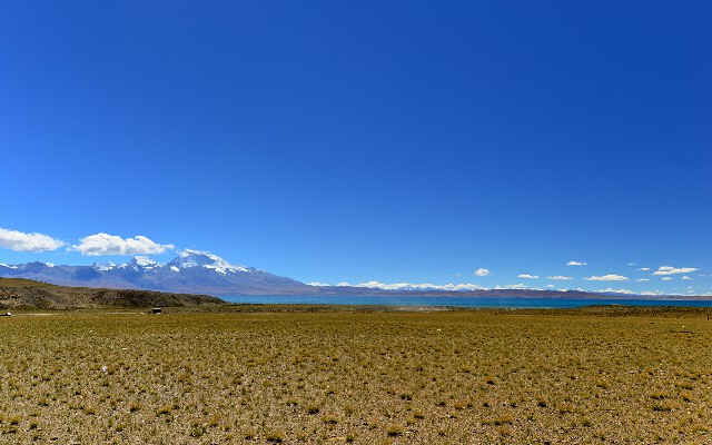 拼多多补单软件