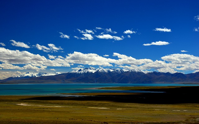 拼多多补单软件