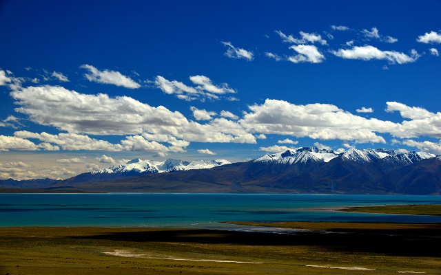 拼多多补单软件