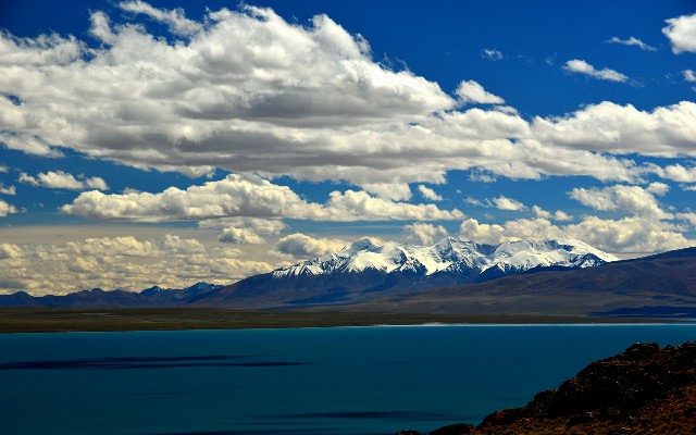 拼多多补单软件